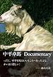 中平卓馬 Documentary
