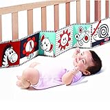 タイニーラブ Newダブルサイドファーストブック [並行輸入品]