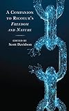 A Companion to Ricoeur's Freedom and Nature (Studies in the Thought of Paul Ricoeur)