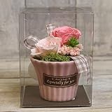 ミニプリザーブドフラワー！candypink クリアケース付 ギフト プレゼント フラワーアレンジ 花 ブリザーブドフラワー 還暦祝い 結婚祝い ブリザードフラワー
