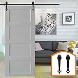 HomeDeco Hardware 吊り戸 レール 引き戸 金具 アウトドア用品 激安 15 FT (4.60メートル) シングルドア