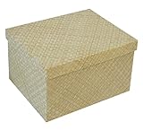 まとめ買い特価10P『パンダン』蓋付き四角タイプ小物入れ「28×23×16cm」（ＤＶＤボックス）／２種類