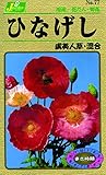 カネコ種苗 草花タネ077 ひなげし 虞美人草 混合 10袋セット