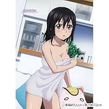 ストライク・ザ・ブラッド 雪菜 描き下ろし B2タペストリー 横幅約51cm×高さ約72cm