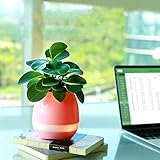 ELOKI スピーカー植物【歌が歌う植木鉢】スピーカー植木鉢　音楽植木鉢　魔法木鉢　ワイヤレス　スマート音楽花瓶　3色選択可（赤色）