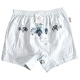 【あるこんたるこん】トランクス レトロダンプ ベビー キッズ ジュニア 男の子 パンツ ボクサー コットン100％ (M(サイズ120-130相当))