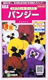 パンジー・ＬＲプロント　ミックス