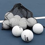 テニスボール (ホワイト-12個)