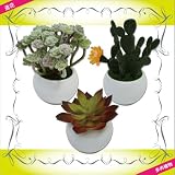造花 フェイクグリーン 多肉植物 3個セット 白B サボテン グリーンプラント インテリアグリーン