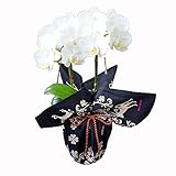 ミディ胡蝶蘭 2本立ち 白色 4号陶器鉢 ブランド風呂敷ラッピング　echino「クローバー」