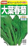 サカタのタネ 実咲野菜3290 大葉春菊 (徳用袋)