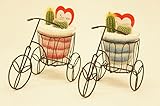【今だけの限定価格!!!!在庫限り。】　三輪車型の器が可愛い♪　寄せ植え２種　観葉植物　サボテン　２個セット（青＆赤）　ブラウン　お部屋のインテリアにもギフトにも♪