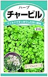 <チャービル(ハーブ)> マイルドですっきりとした甘い風味