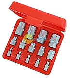 dapetz 14 Piece E Torxソケットセットin aストレージケースStarメスソケット1 / 4 " 3 / 8 " 1 / 2 "