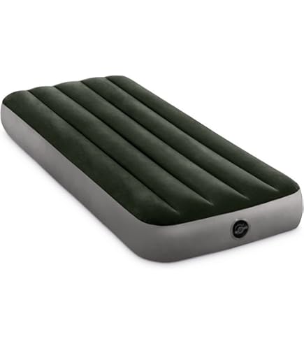 INTEX(インテックス) ベッド エアーベッド [フットポンプ付ダウニーエアー Amazon | インテックス(Intex) INTEX ベッド エアーベッド
