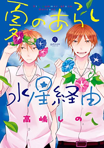 夏のあらし水星経由 (gateauコミックス)