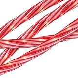 Vickerman 18-Feet Red/White Rope Light with Bulb Spacing 5-Feet Lead Cord [並行輸入品]