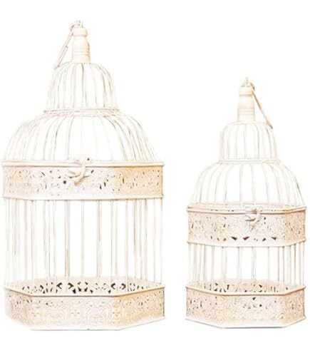 英国アンティーク♪ 高級鳥かご♡ シノワズリ 約15万円 香木