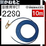 堺電業 60000-496 溶接用WCT 22SQ アース線(端子) 青色 10m