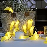 Infabe フルーツ装飾LEDライト LED パイナップル イルミネーション オーナメント LEDストリングライト 飾りスター クリスマス飾り　ハロウィン飾り 防水 結婚式 ホームパーティー　お誕生