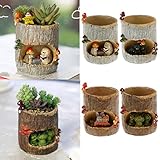 Fityle 多肉植物ポット　盆栽　プランター　収納ボックス　プラント　ベッド　装飾　フラワーポット　　耐久性　