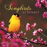 Songbirds At Sunset