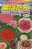 アタリヤ農園 ガーデニング用品 種 スーパーカラフル葉ぼたんプレミアム