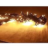 10M 100LED イルミネーションストリングライト 屋外 星空フェアリー LED ライト 高輝度 クリスマス/誕生日/結婚式イベントの装飾 防水 防滴型 複数連結可能　 (ウォームホワイト)