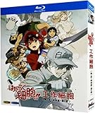 はたらく細胞 !! Blu-ray 第1期+第2期 全21話+特別上映版 2枚組 BOX [完全版]