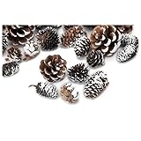 大地農園 ドライフラワー コーンアソート (120g入り) DO024882-982