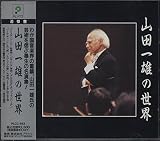 山田一雄の世界