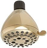 Delta 75555PB Universal Showering Components 5 Setting Showerhead, Polished Brass [並行輸入品]