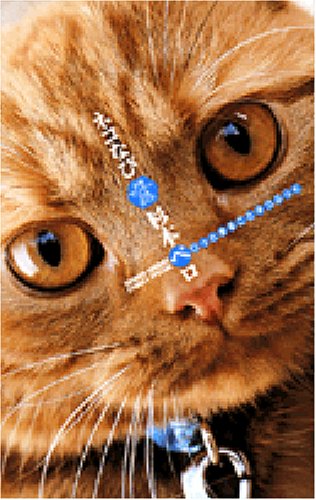 ネコなび―少年サンデ