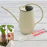 Fallen Fruits水差しホワイトと植物用水分計サスティーMサイズホワイトのセット ノーブランド品