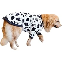 51tQRq3FMmL._AC_UL210_SR210,