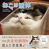 ねこは液体