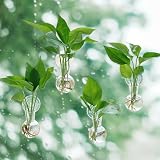 Bunmery 窓繁殖ステーション4個 吸盤プラスチック植物繁殖球根 取り付け簡単 壁掛けプランター 釘なし プラスチックプラントテラリウム花瓶