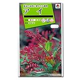 [タキイ 花タネ]アイ（蓼藍・アイタデ・タデアイ） の種4袋セット[藍染の染料植物 春まき] ノーブランド品