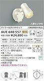 AUE640557 電球色LED人感センサ付ウトドアスポットライト