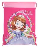 ちいさなプリンセス ソフィア(Sofia the First)　ジムバッグ　フレームNP9339b【ナップザック　キャラクター　グッズ　インポート】
