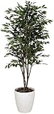 tree-c/観葉植物 造花 光触媒 ベンジャミン・ツリー 180cm