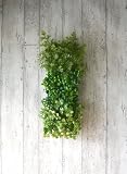観葉植物 ミニ フェイク 造花 ♪【グリーンパーク】フレキシブルマット＜タイプ：イワヒバマット＞♪ インテリアグリーン アーティフィシャル