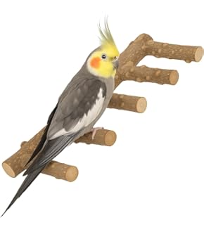 Amazon | マルカン セラミックヒーター100W 輻射式 カバー付 ＋