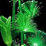 TOPmountain エメラルド蛍光の花の種 100個 家庭用ナイトライト植物盆栽の種子