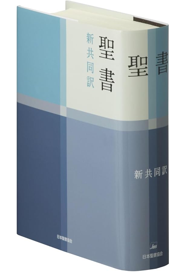 聖書(新共同訳 NI65ZTIエンジ) 大型ジッパー・サムインデックス