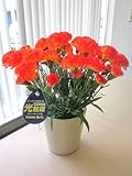光触媒 アートフラワー 母の日 カーネーション オレンジ 造花