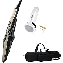 Roland ローランド Aerophone AE-20SC エアロフォン Roland AE-20 / AE-20SC | 電子管楽器スタンダードモデル！3色