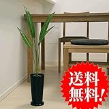 ストレチア H70 1本立 丸黒鉢 造花 人工観葉植物 CT触媒 フェイクグリーン