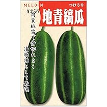 Amazon.co.jp: つけ瓜 種子 地青縞瓜 2ml : DIY・工具・ガーデン