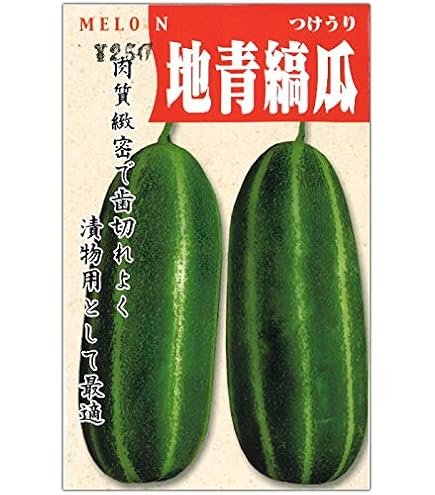 Amazon.co.jp: 中国野菜の種 長夕顔20粒 瓠瓜 夜開花 蒲瓜 瓢瓜 : DIY
